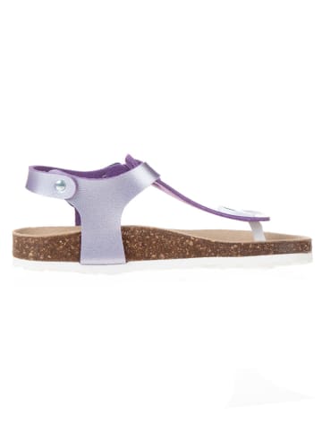 BIO PINGÜIN Sandalen paars
