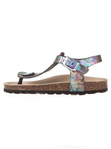BIO PINGÜIN Sandalen zwart/meerkleurig