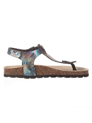 BIO PINGÜIN Sandalen in Schwarz/ Bunt