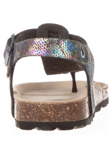 BIO PINGÜIN Sandalen in Schwarz/ Bunt