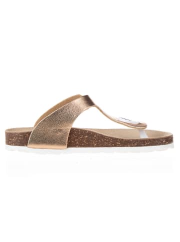 BIO PINGÜIN Teenslippers goudkleurig