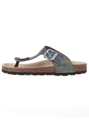 BIO PINGÜIN Teenslippers zwart/meerkleurig