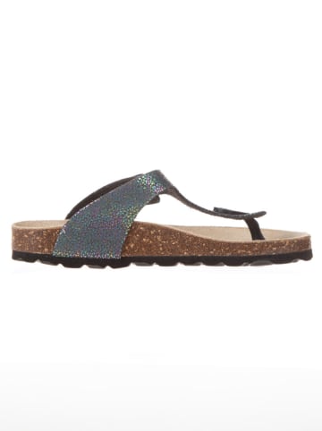 BIO PINGÜIN Teenslippers zwart/meerkleurig