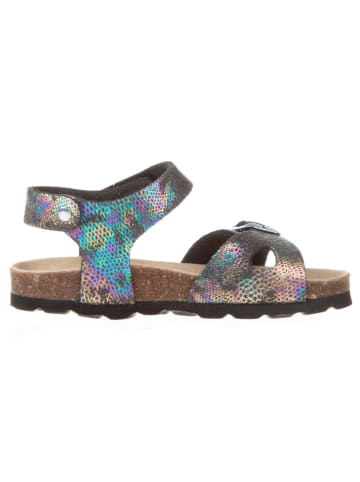 BIO PINGÜIN Sandalen zwart/meerkleurig