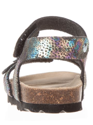 BIO PINGÜIN Sandalen in Schwarz/ Bunt