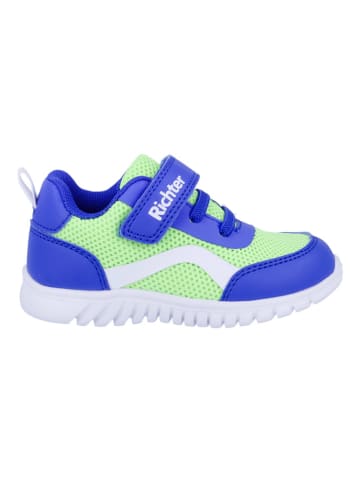Richter Shoes Sneakers "Wallaby" in Blau/ Grün