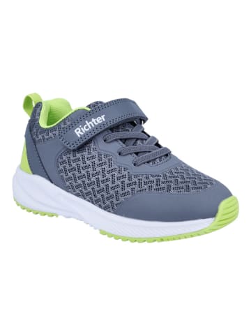 Richter Shoes Sneakers "Buddy" in Grau