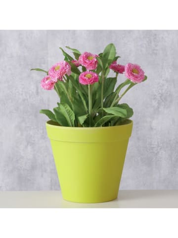 Boltze Osłonki (2 szt.) w kolorze zielonym na doniczkę - wys. 13,5 x Ø 15 cm