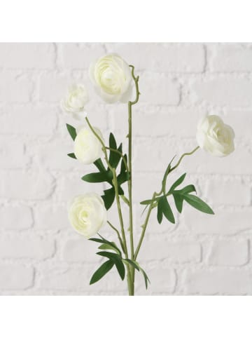 Boltze Kunstblume "Ranunkel" in Creme/ Grün - (H)53 cm