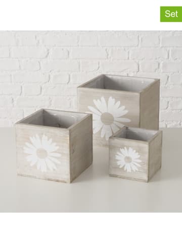 Boltze 3er-Set: Übertöpfe "Daisie" in Beige