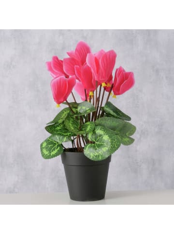 Boltze Kunstpflanze "Blumen & Blüten" in Pink/ Grün - (H)27 cm