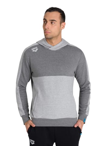 Arena Hoodie in Grau