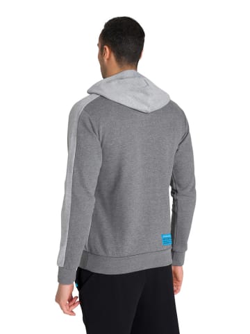 Arena Hoodie in Grau