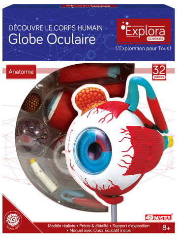 MGM Model edukacyjny "Oko" - 8+