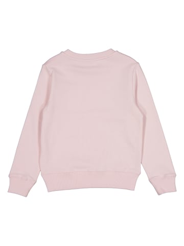 Calvin Klein Sweatshirt in Rosa
