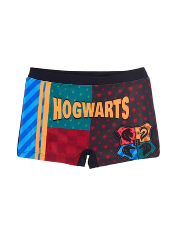 Harry Potter Boxershort "Harry Potter" in Bunt