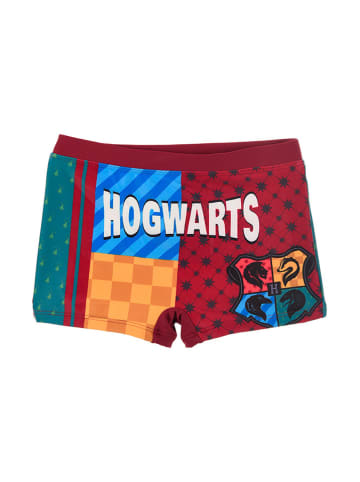 Harry Potter Boxershort "Harry Potter" in Bunt