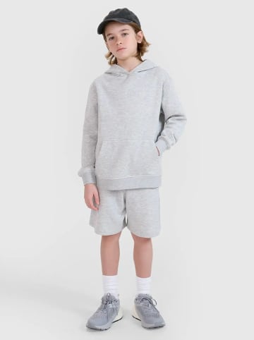 4F Sweatshorts in Grau