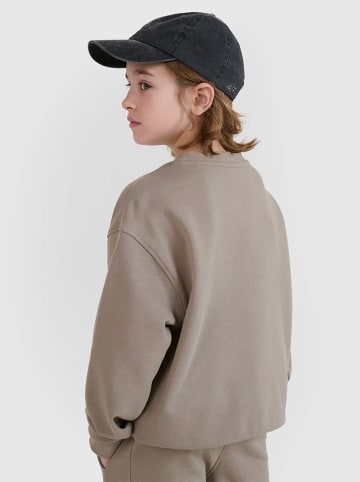 4F Sweatshirt in Beige