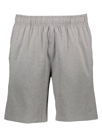 4F Shorts in Grau