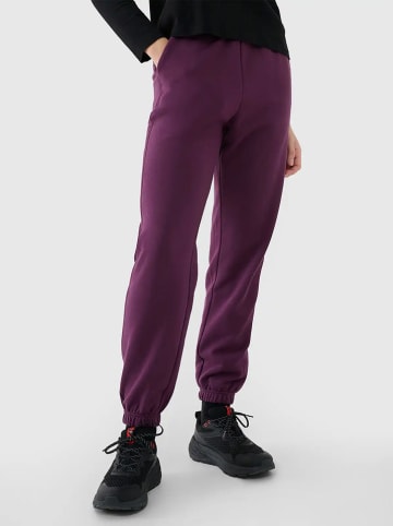 4F Sweathose in Lila