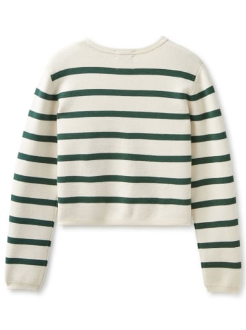 Scotch & Soda Cardigan in Creme/ Grün