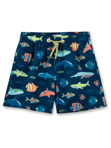 Sanetta Kidswear Badeshorts in Dunkelblau