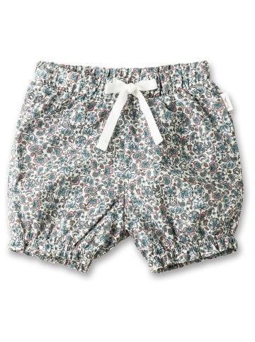 Sanetta Kidswear Short meerkleurig