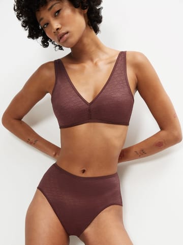 Triumph Taillehipster "Signature Sheer Maxi" donkerbruin