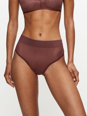 Triumph String "Tempting Sheer Highwaist" in Dunkelbraun