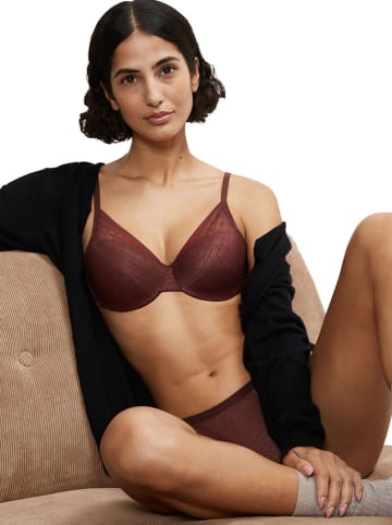 Triumph Bügel-BH "Signature Sheer" in Dunkelbraun