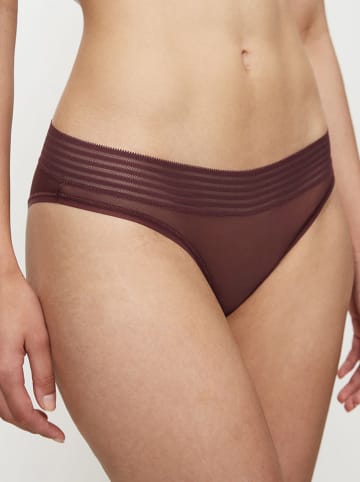 Triumph Slip "Tempting Sheer Highleg Tai" in Dunkelbraun