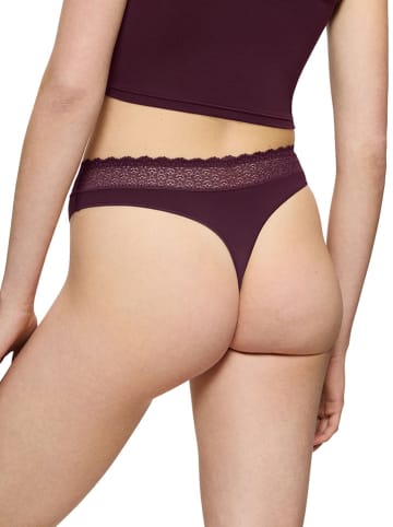 Triumph Slip "Feel of Modal" in Dunkelrot