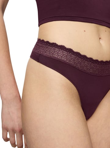 Triumph Slip "Feel of Modal" in Dunkelrot