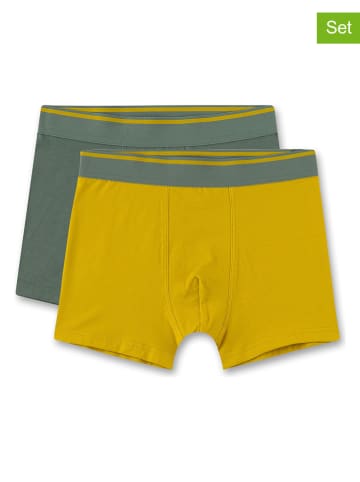 Sanetta 2er-Set: Boxershorts in Grün