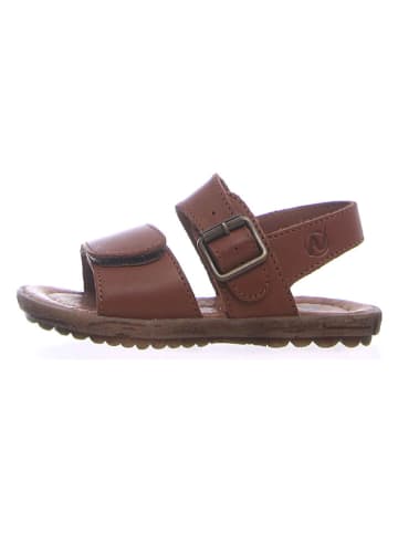 Naturino Leren sandalen "Kenny" bruin