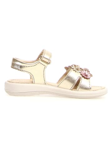 Naturino Leren sandalen goudkleurig