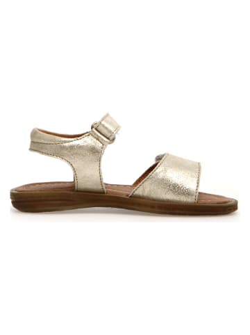 Naturino Leder-Sandalen "Monet" in Gold