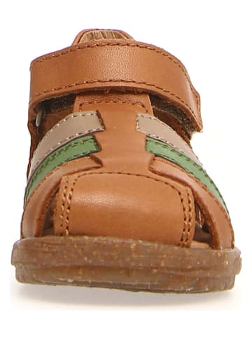 Naturino Leren enkelsandalen "See" lichtbruin