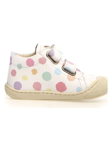 Naturino Leder-Lauflernschuhe "Cocoon" in Bunt