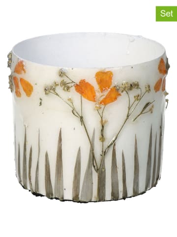 Kersten 3er-Set: Blumentöpfe "Dried Flowers" in Creme - (H)8 x Ø 9 cm