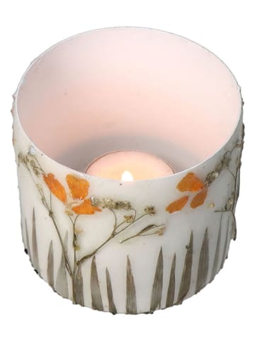 Kersten 3-delige set: bloempotten "Dried Flowers" crème - (H)8 x Ø 9 cm