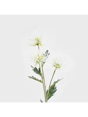 Homla Decoratieve tak "Alma" wit/groen - (L)68 cm