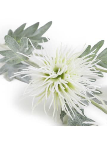 Homla Decoratieve tak "Alma" wit/groen - (L)68 cm