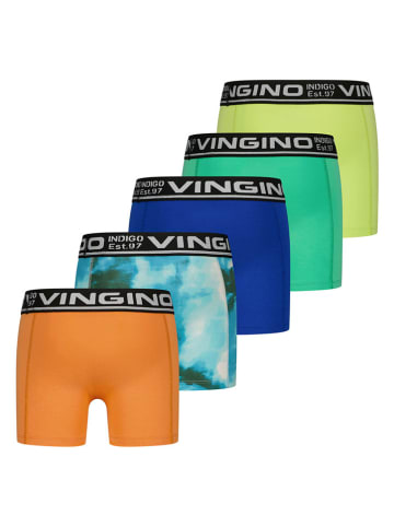 Vingino 5er-Set: Boxershorts in Bunt