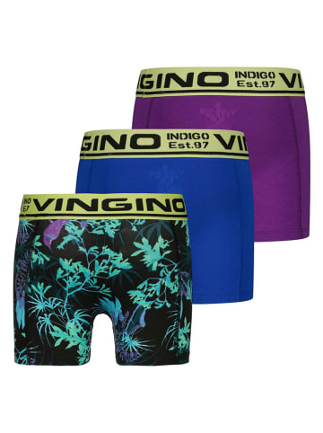 Vingino 3er-Set: Boxershorts in Bunt