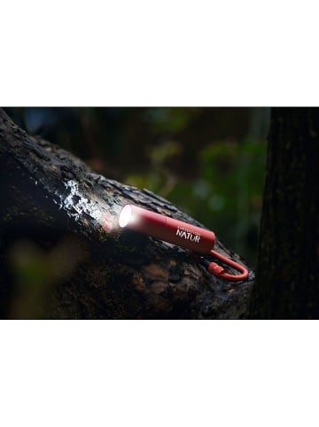 moses. Taschenlampe ''Expedition Natur Zoom'' - ab 6 Jahren (Überraschungsprodukt)