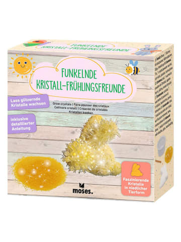moses. Zestaw eksperymentalny - 8+ (produkt niespodzianka)