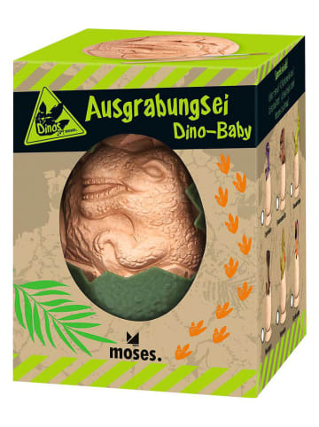 moses. Ausgrabungsei ''Dino-Baby'' - ab 6 Jahren (Überraschungsprodukt)