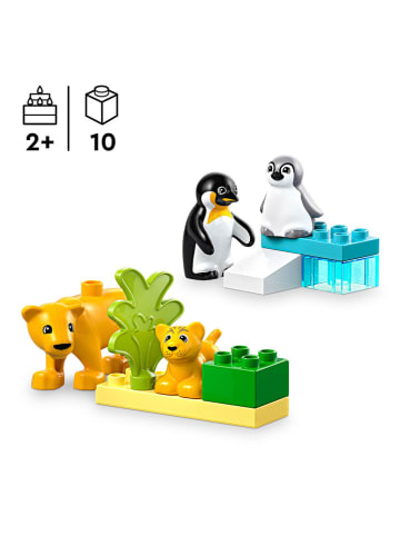LEGO LEGO® DUPLO®  Town Wildlife Families: Penguins and Lions - 2+